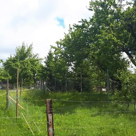 Apartment Bodensee Ailingen Onkel Fritz *